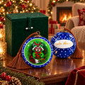 Raccoon in Blue inside-painted glass ornament