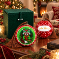 Raccoon in Red inside-painted glass ornament